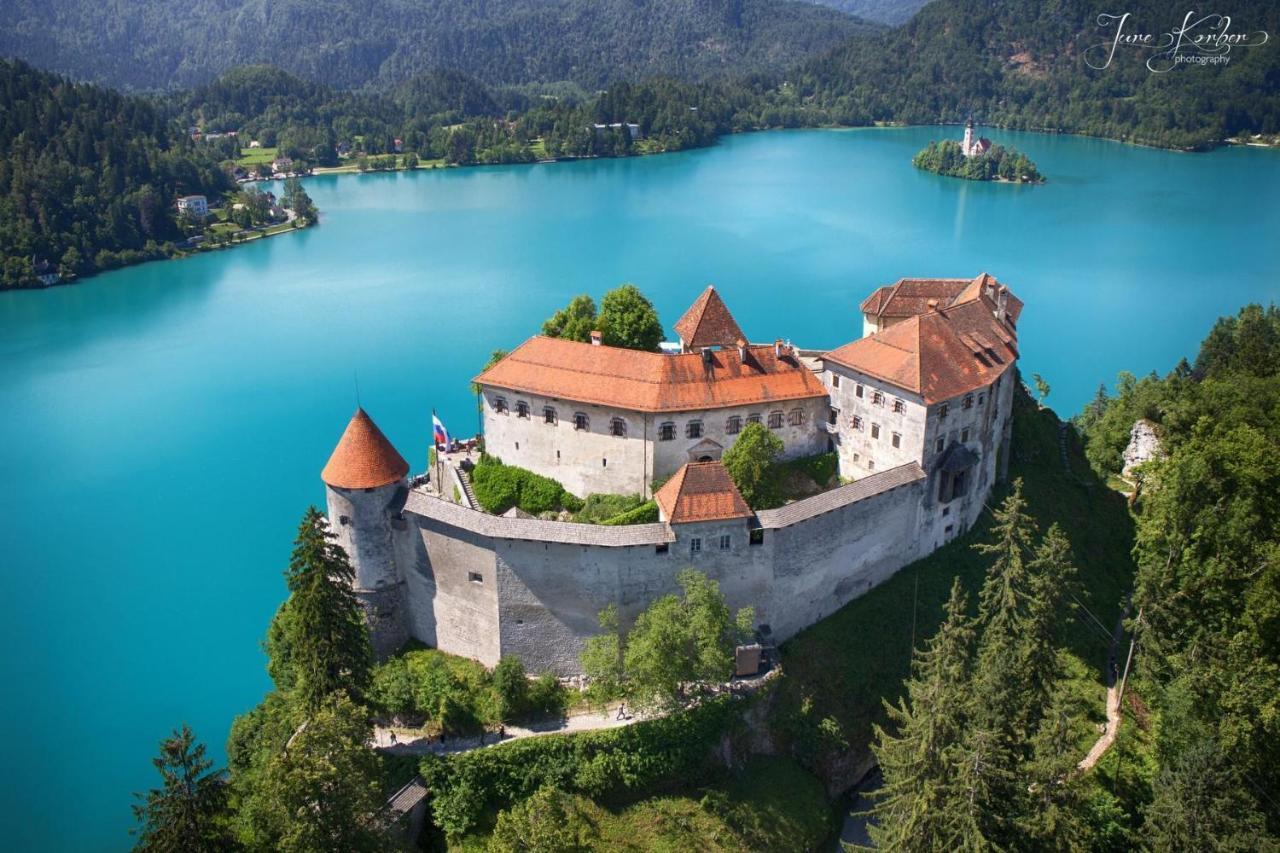 Castle Way Apartments Tamy Bled Dış mekan fotoğraf